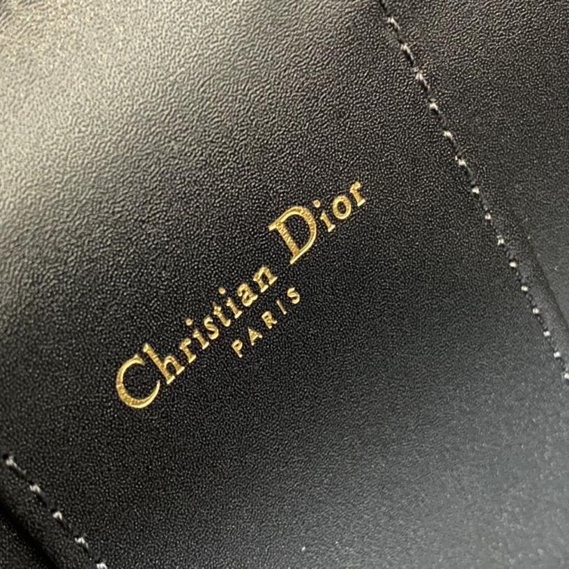 Dior Small CD Signature Vanity Case - PerfectKickZ