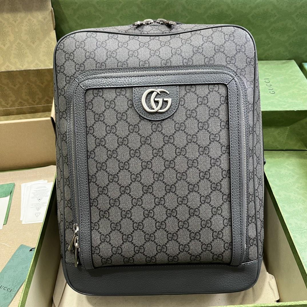 Gucci Ophidia GG Medium Backpack (40-30-14cm) - PerfectKickZ