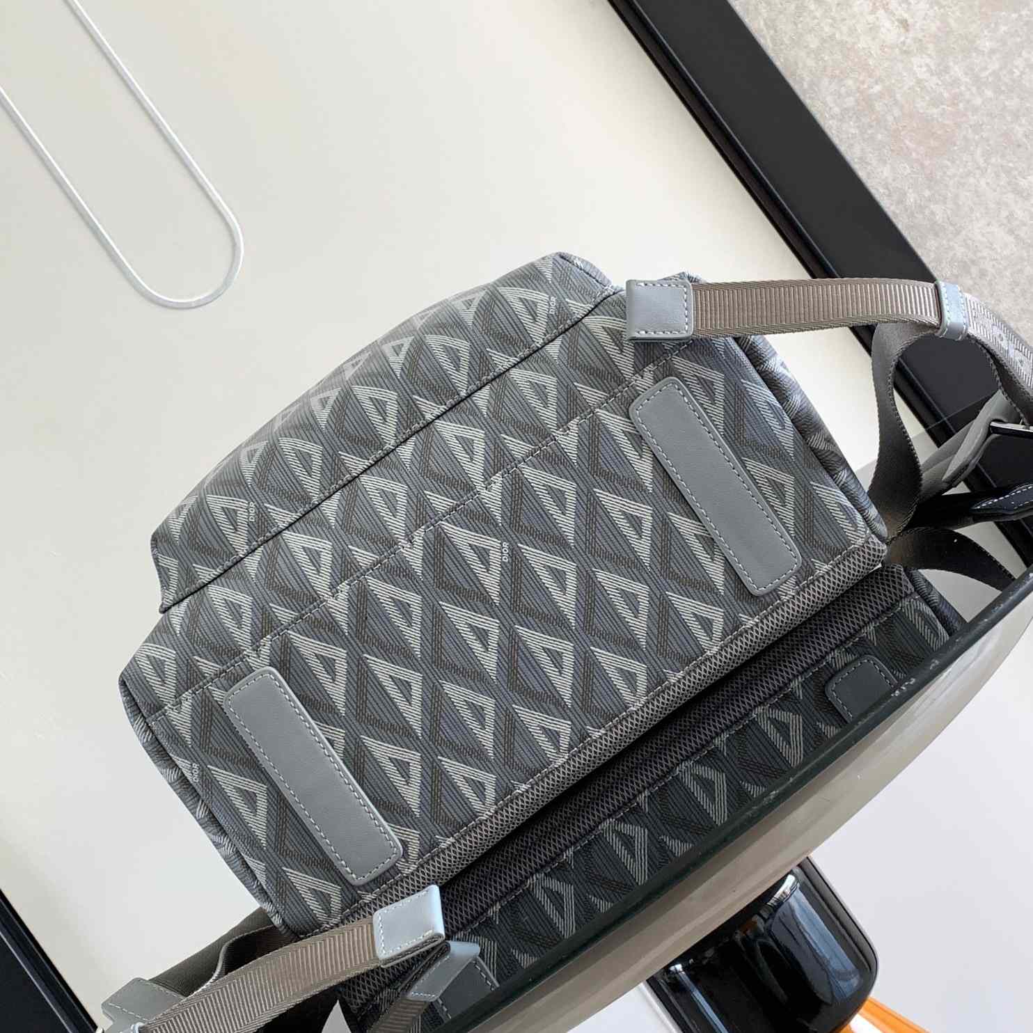 Dior Rider Backpack  - PerfectKickZ
