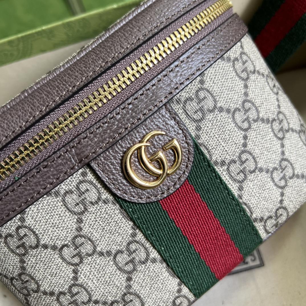Gucci Ophidia GG Belt Bag (18-12-6cm) - PerfectKickZ