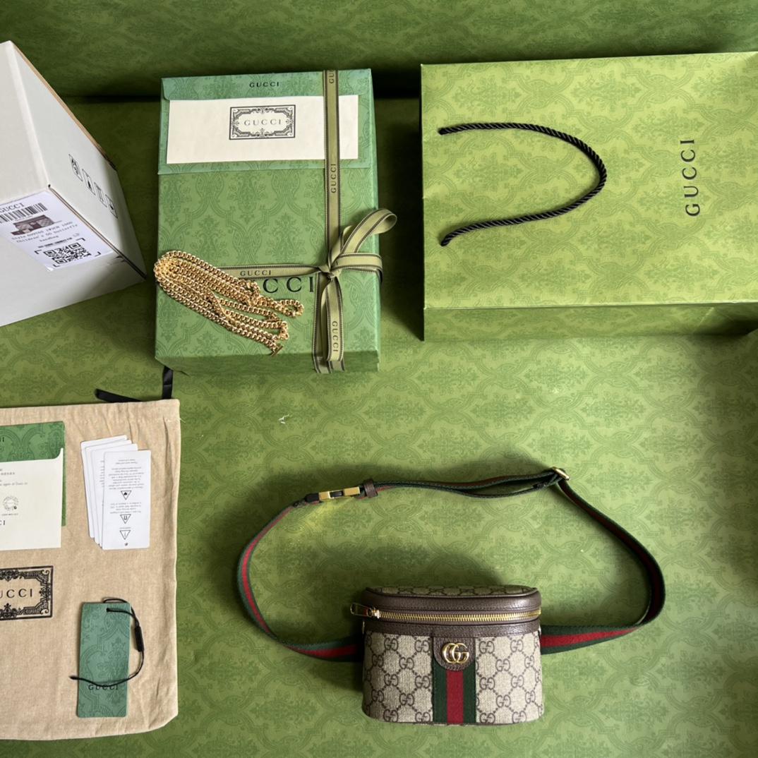 Gucci Ophidia GG Belt Bag (18-12-6cm) - PerfectKickZ