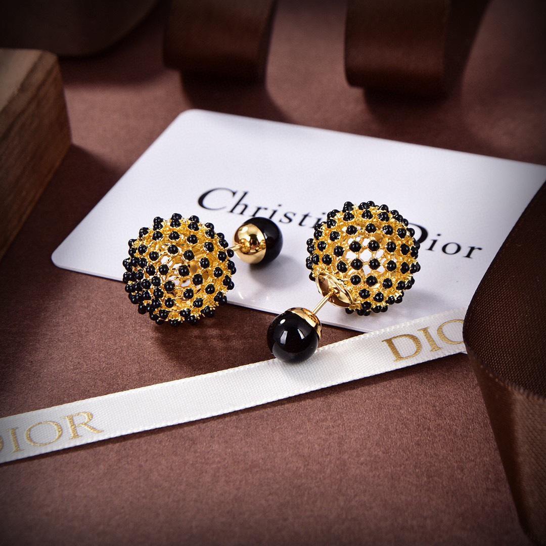 Dior Tribales Earrings - PerfectKickZ