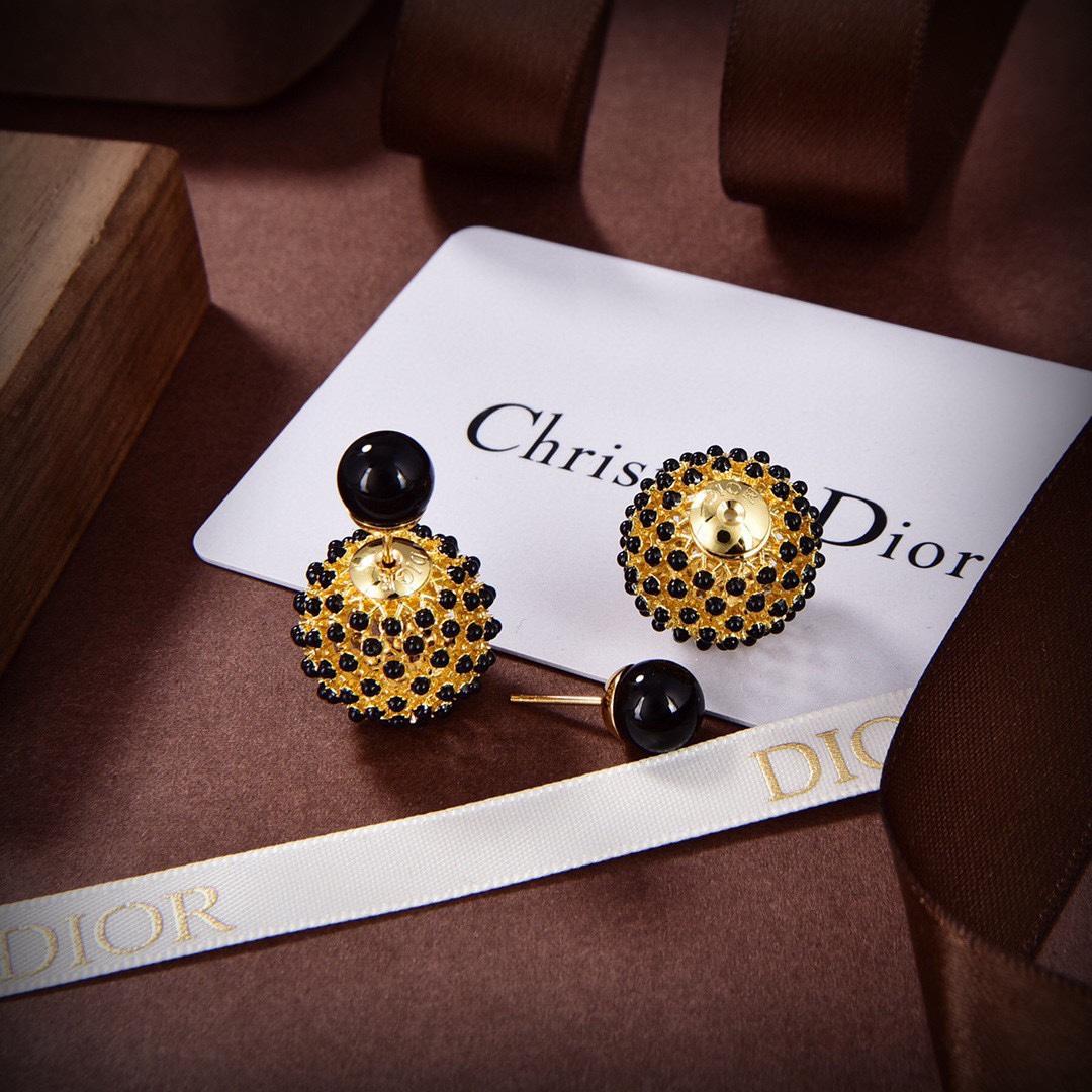 Dior Tribales Earrings - PerfectKickZ