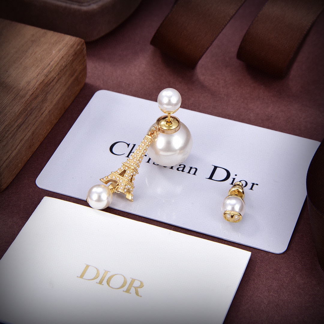 Dior Tribales Earrings - PerfectKickZ