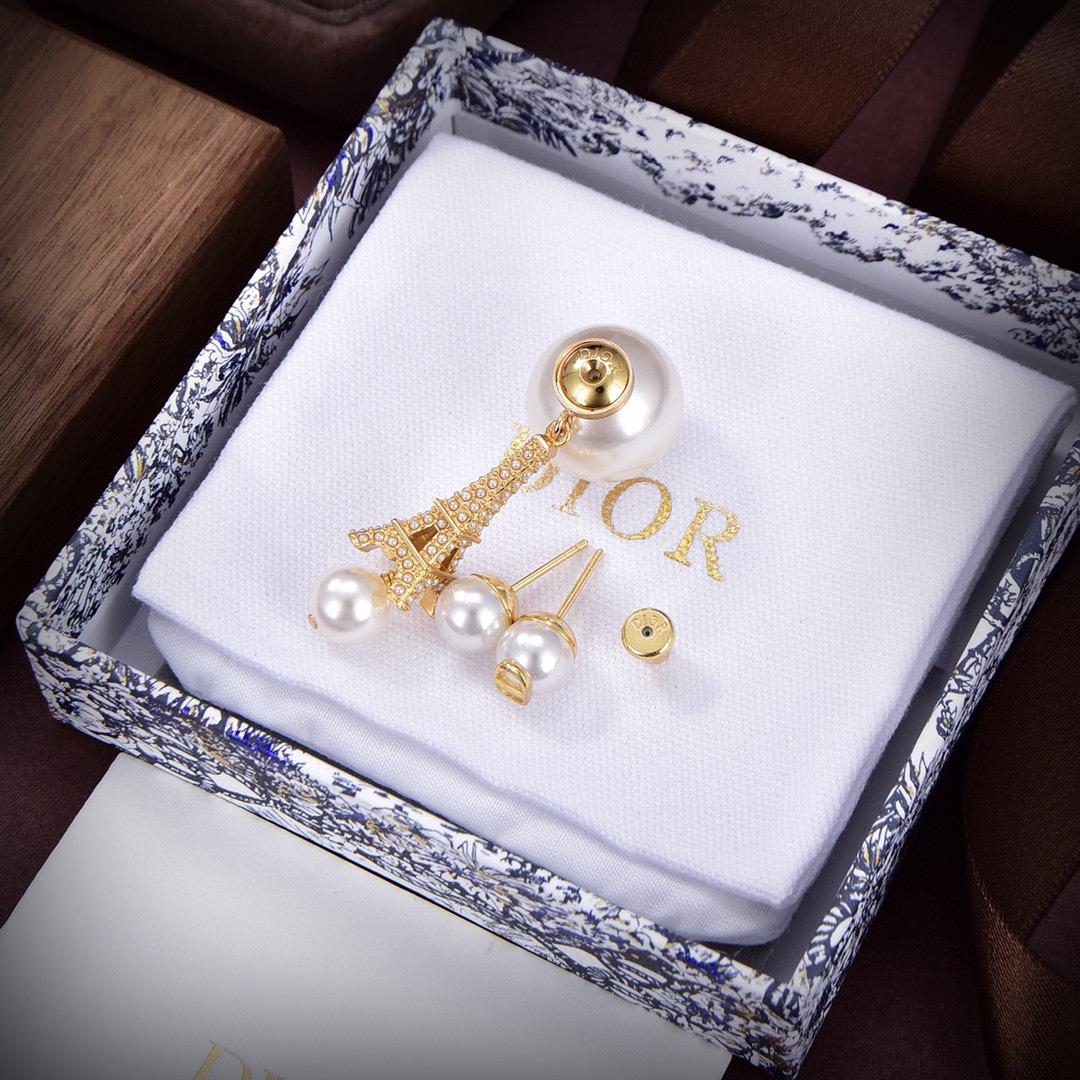Dior Tribales Earrings - PerfectKickZ