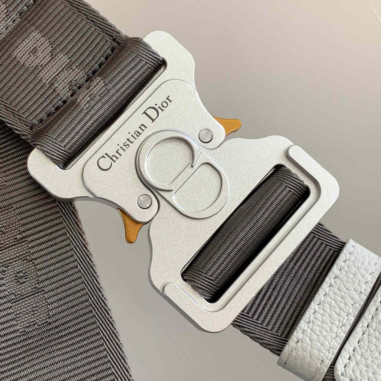 Dior Lingot 50 Bag - PerfectKickZ