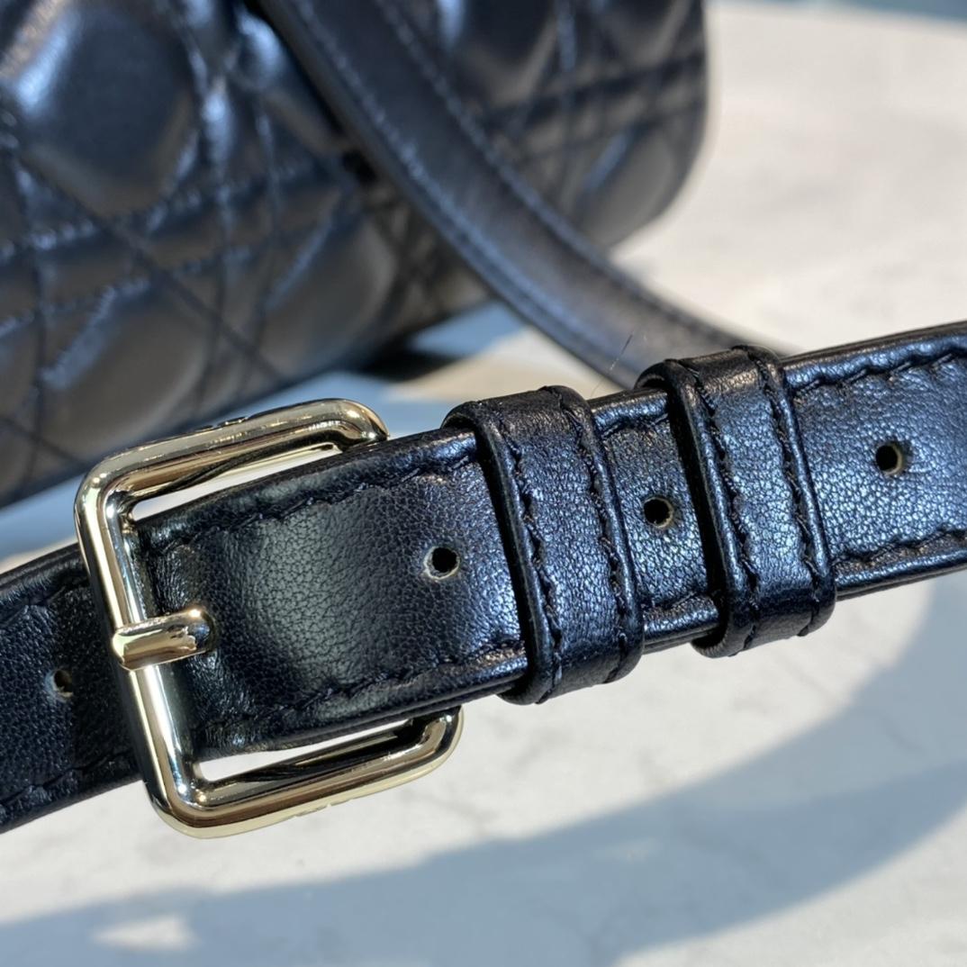 Dior Medium Lady Dior Bag - PerfectKickZ