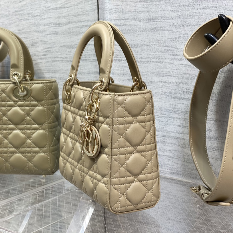 Dior Medium Lady Dior Bag - PerfectKickZ