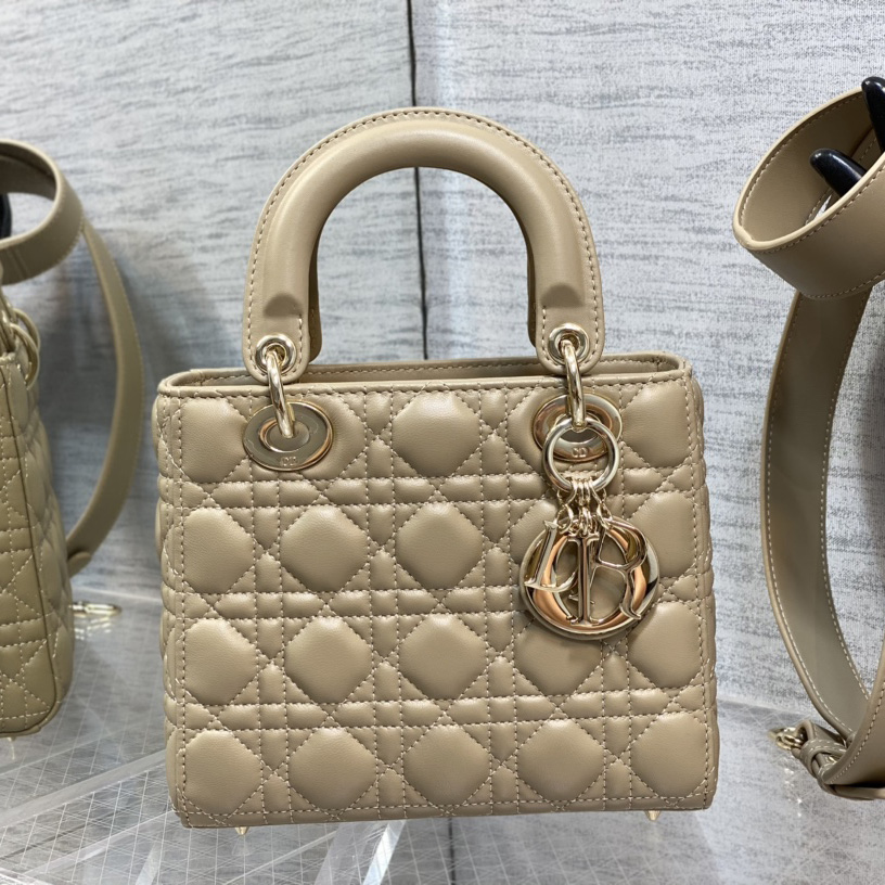 Dior Medium Lady Dior Bag - PerfectKickZ