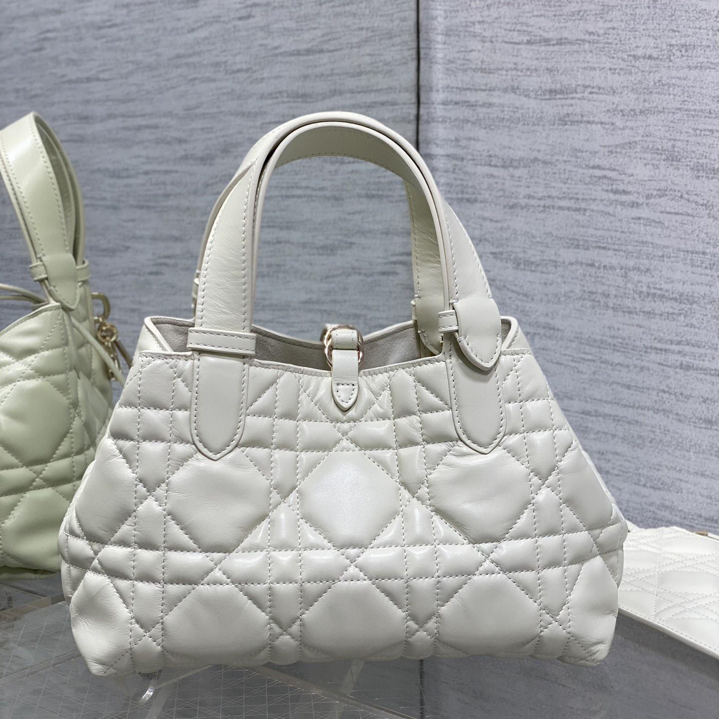 Dior Small Dior Toujours Bag - PerfectKickZ