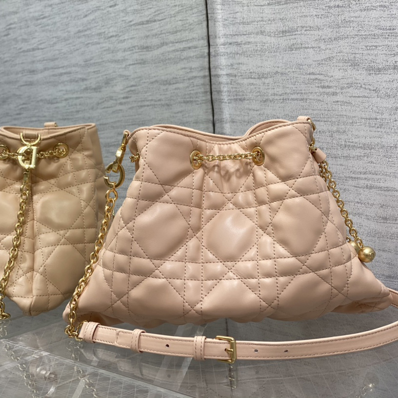 Dior Medium Dior Ammi Bag - PerfectKickZ
