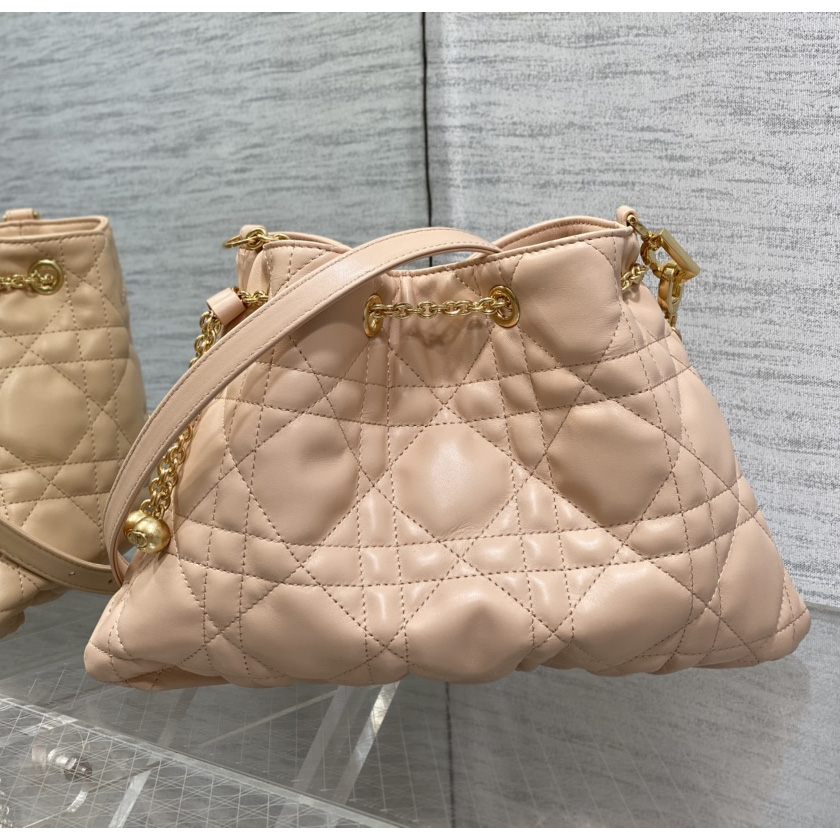 Dior Medium Dior Ammi Bag - PerfectKickZ