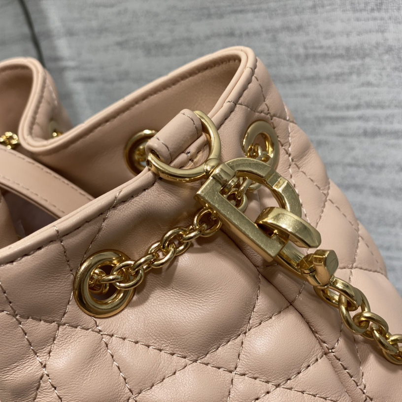 Dior Medium Dior Ammi Bag - PerfectKickZ