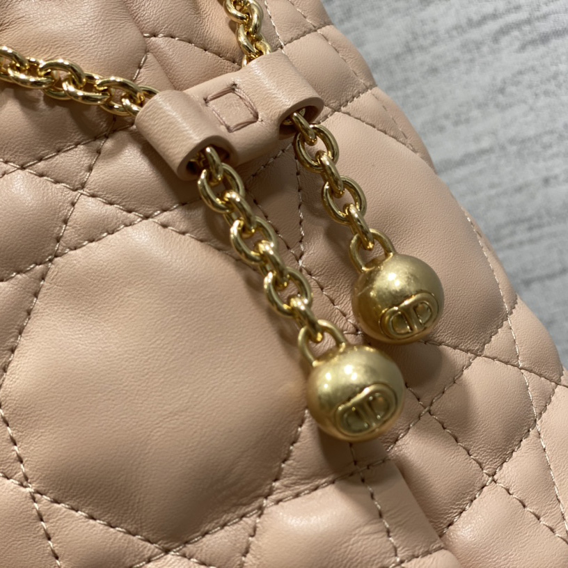 Dior Medium Dior Ammi Bag - PerfectKickZ
