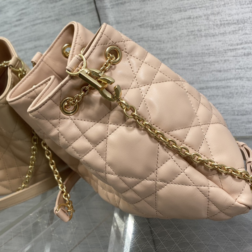 Dior Medium Dior Ammi Bag - PerfectKickZ