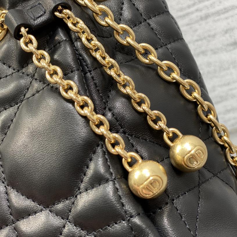 Dior Medium Dior Ammi Bag - PerfectKickZ