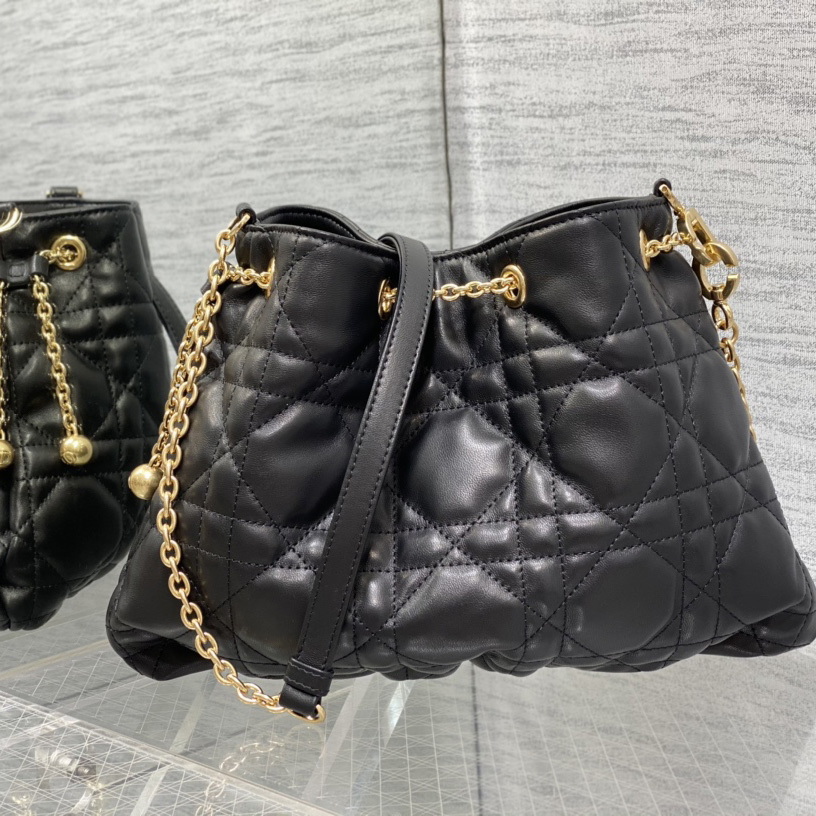 Dior Medium Dior Ammi Bag - PerfectKickZ