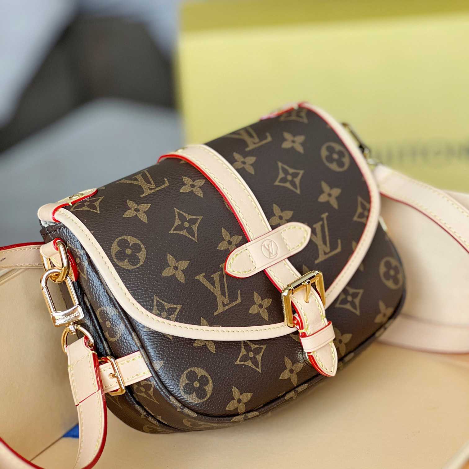 Louis Vuitton Saumur BB (20x15x7.5cm)   M46740 - PerfectKickZ
