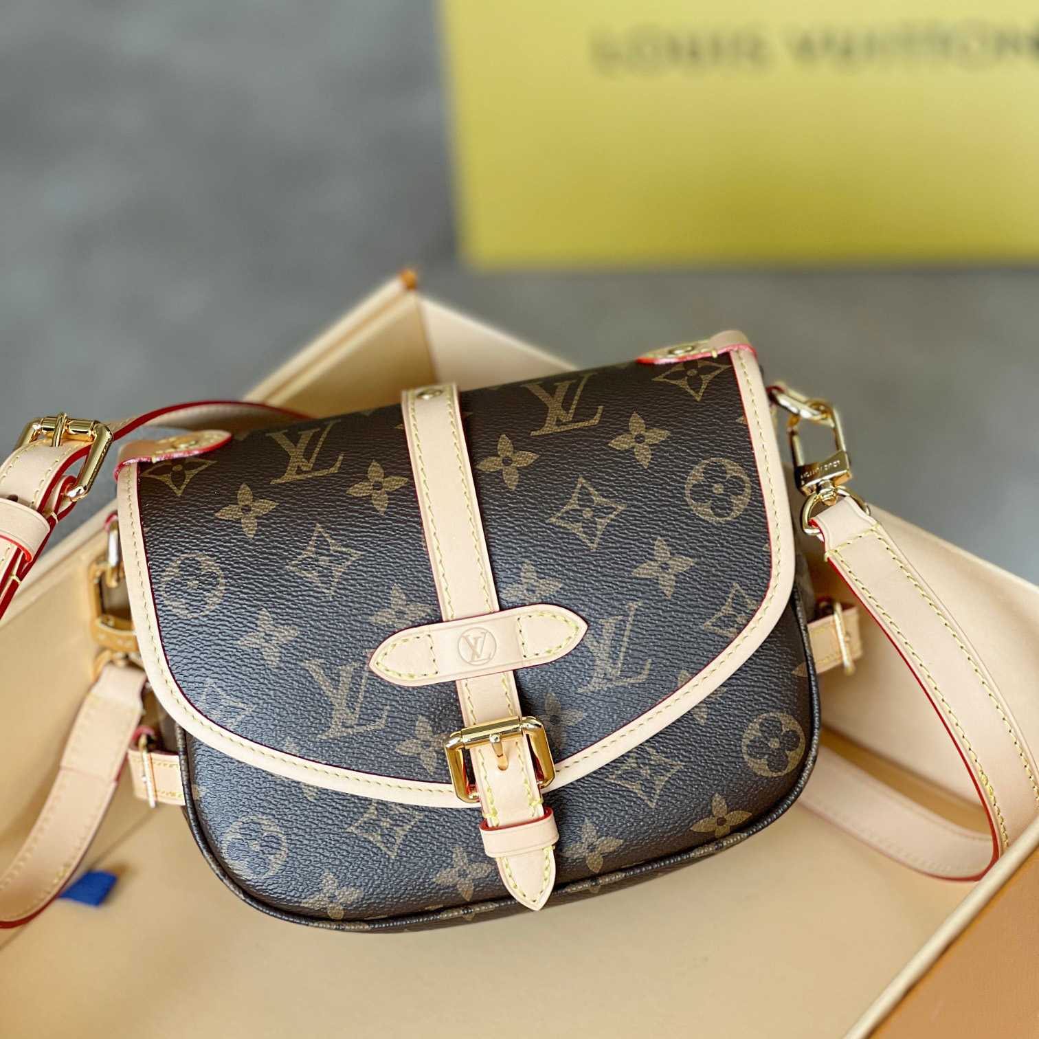 Louis Vuitton Saumur BB (20x15x7.5cm)   M46740 - PerfectKickZ