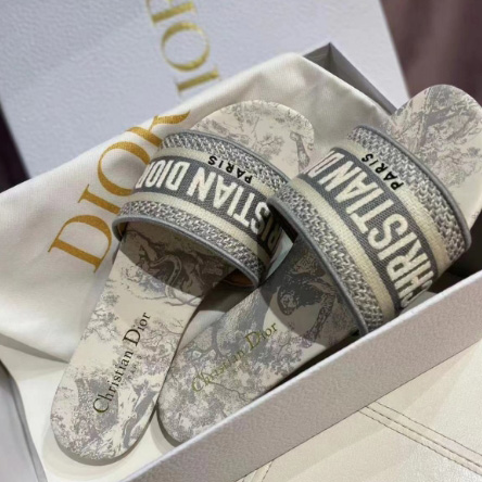 Dior Dway Slide - PerfectKickZ