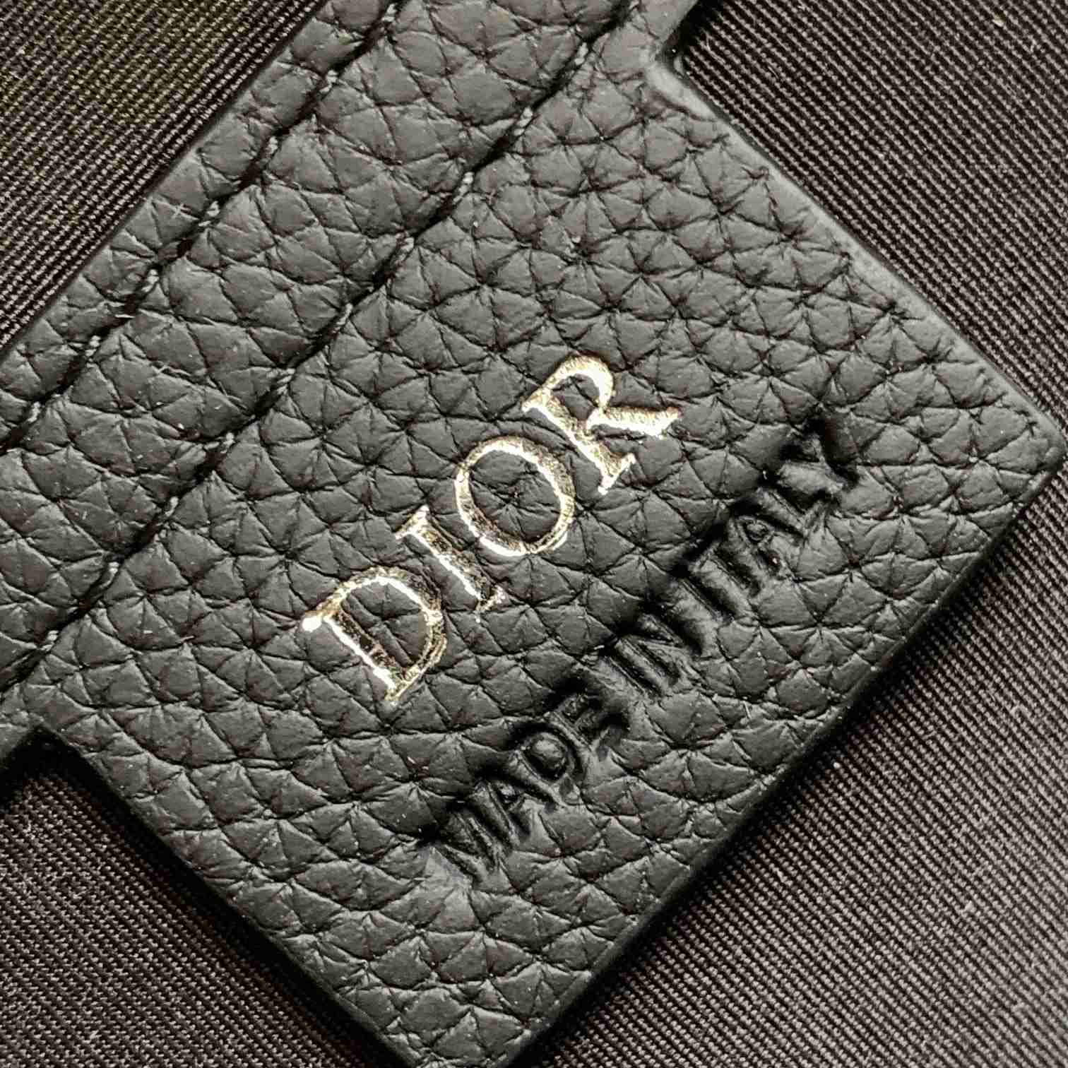 Dior Mini Rider Sling Bag - PerfectKickZ