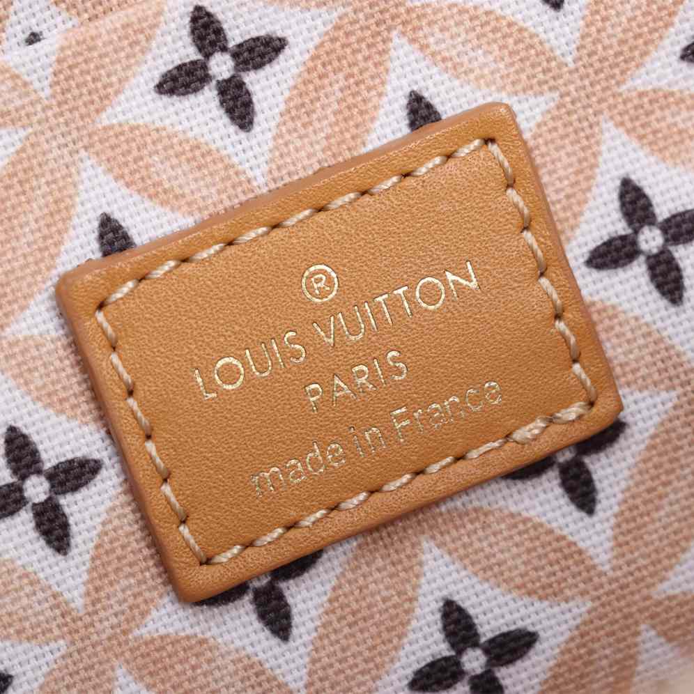 Louis Vuitton Félicie Pochette (21 x 12 x 3cm)  M82520 - 