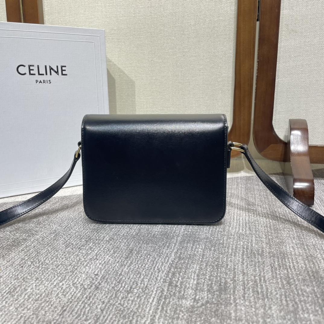 Celine Teen Triomphe Bag In Shiny Calfskin - PerfectKickZ