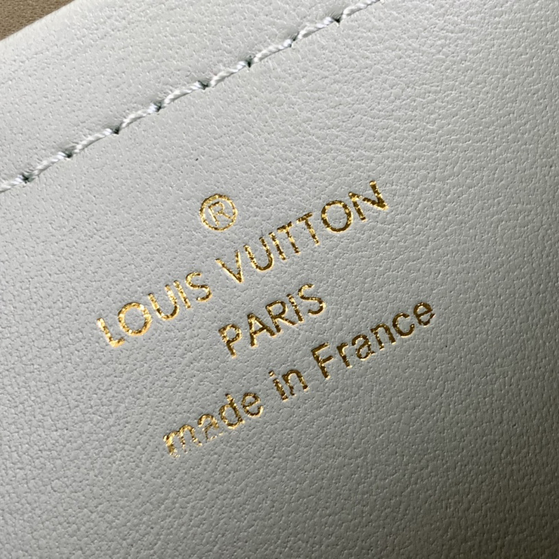Louis Vuitton Pochette Coussin (20-14-8cm)   M82474 - PerfectKickZ