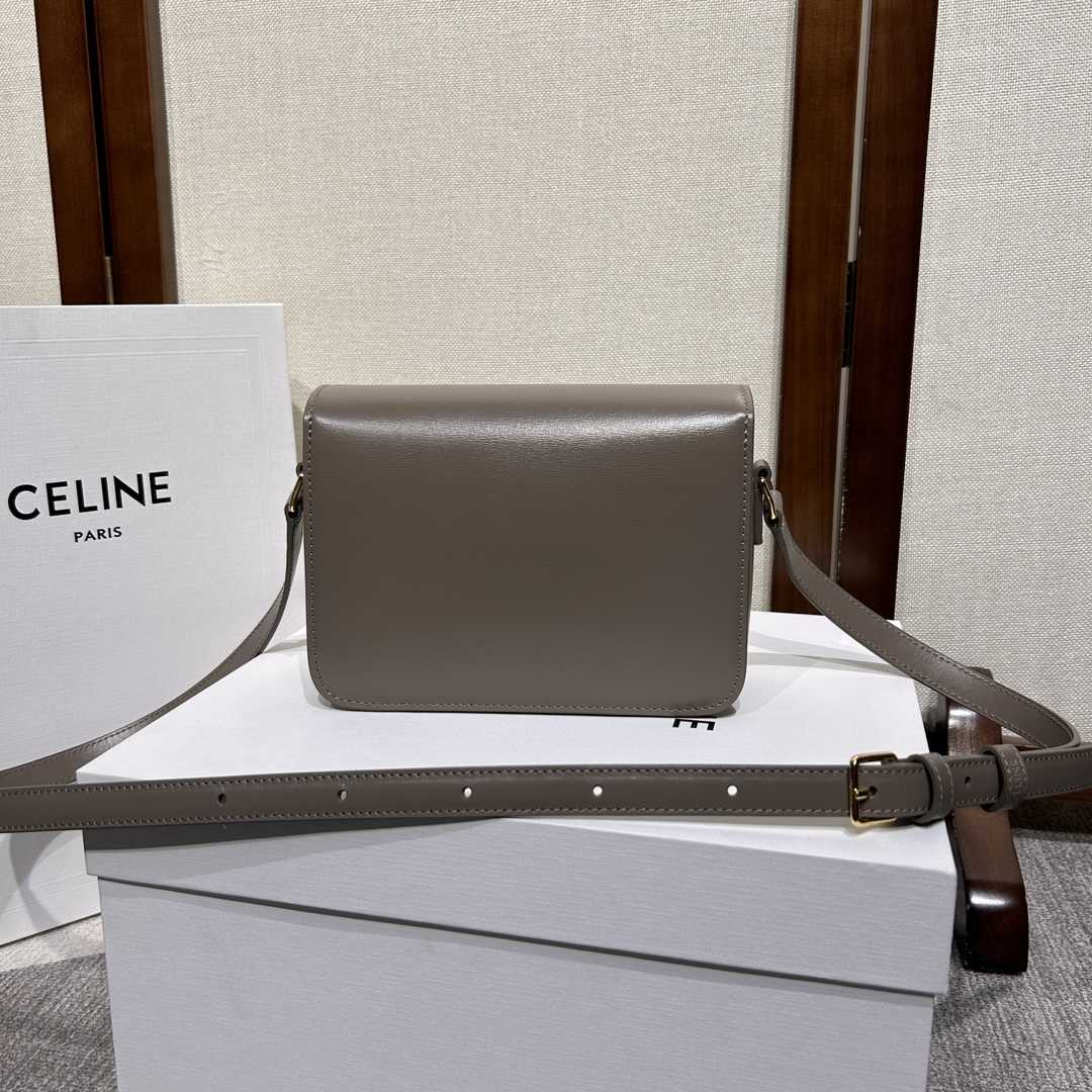 Celine Teen Triomphe Bag In Shiny Calfskin - PerfectKickZ