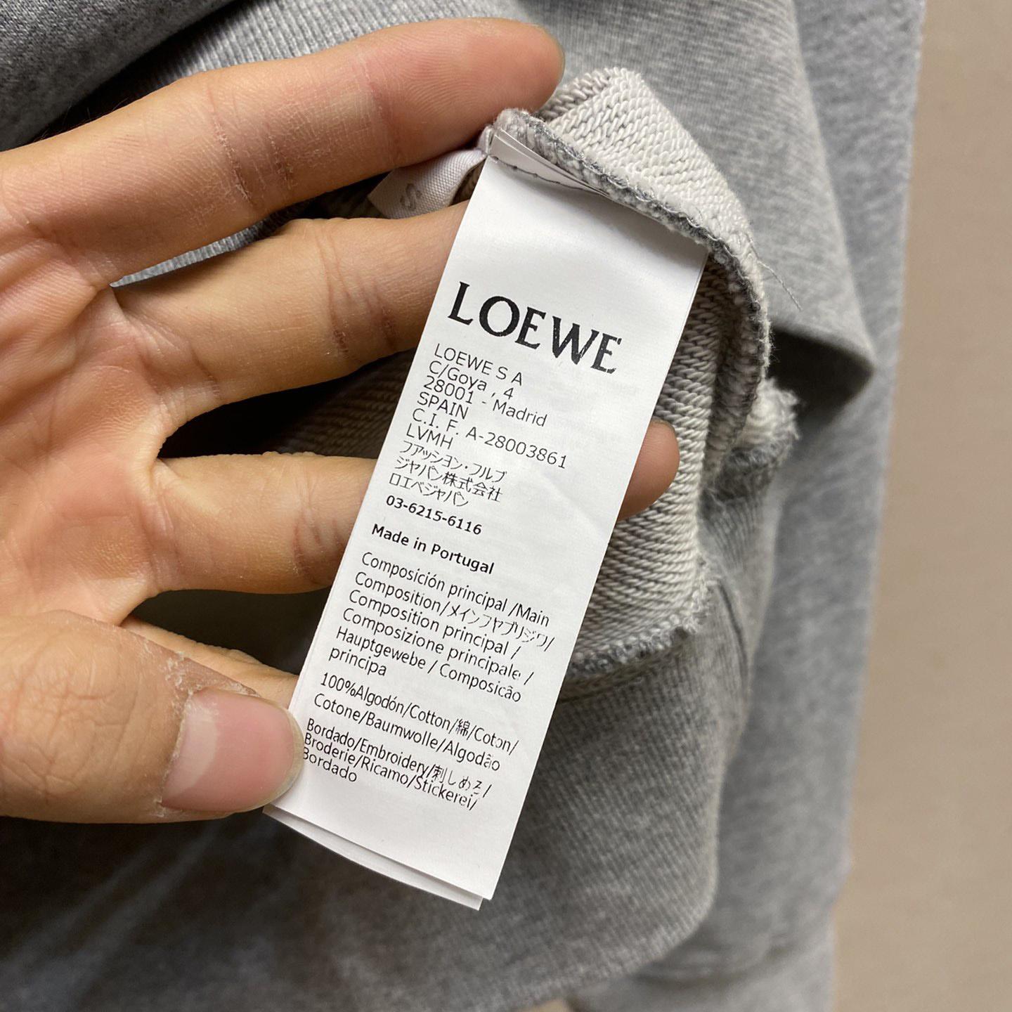 Loewe Anagram Flowers Hoodie In Cotton - PerfectKickZ