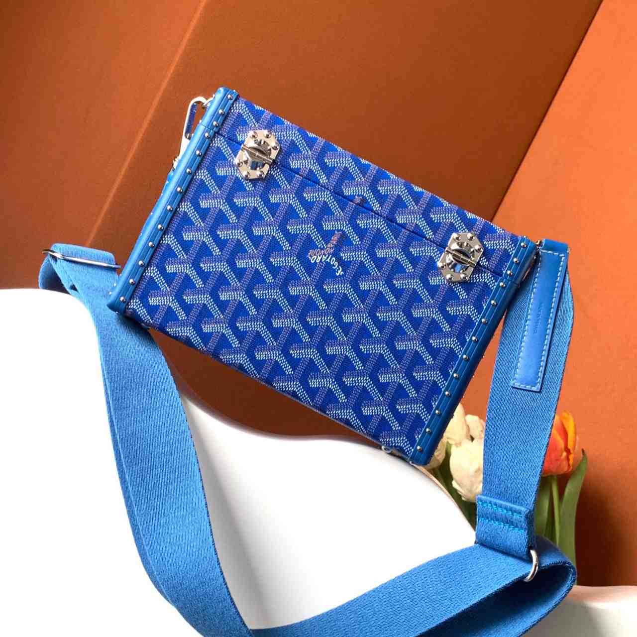 Goyard Cassette Trunk Bag  - PerfectKickZ