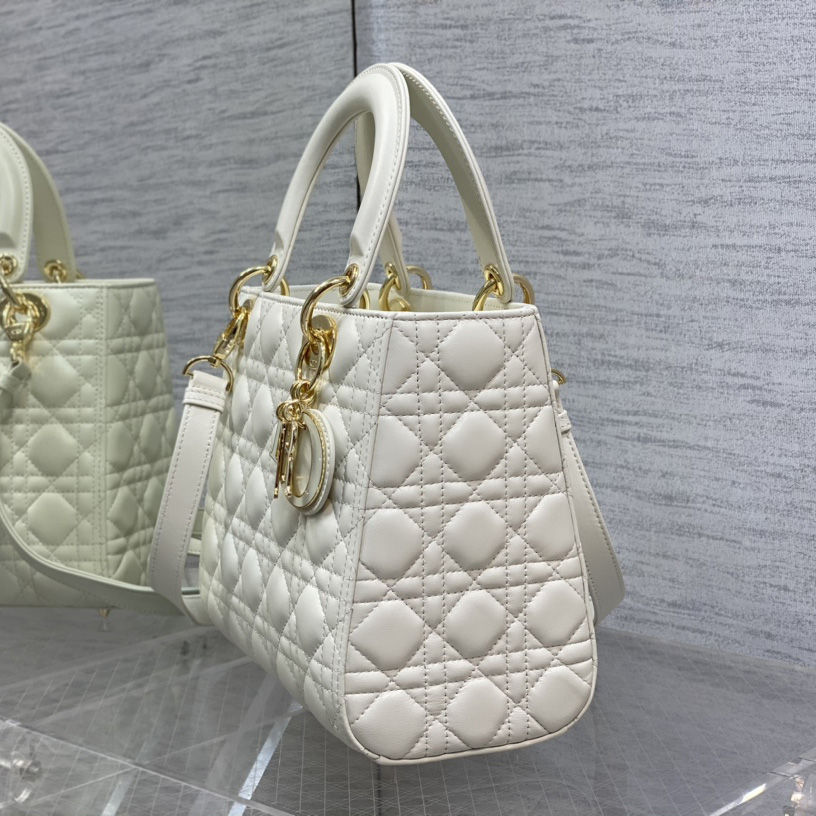 Dior Medium Lady Dior Bag - PerfectKickZ