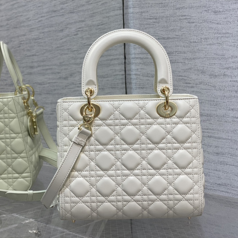 Dior Medium Lady Dior Bag - PerfectKickZ