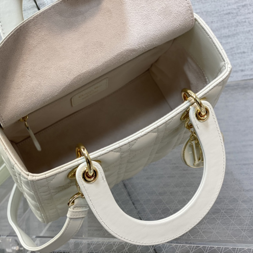 Dior Medium Lady Dior Bag - PerfectKickZ