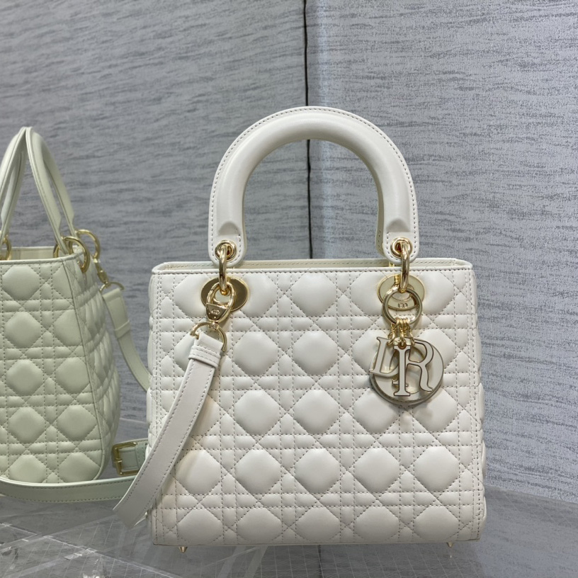 Dior Medium Lady Dior Bag - PerfectKickZ