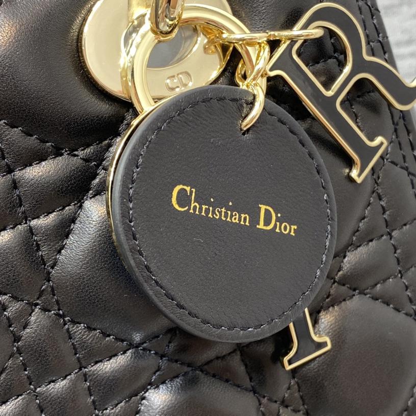 Dior Medium Lady Dior Bag - PerfectKickZ