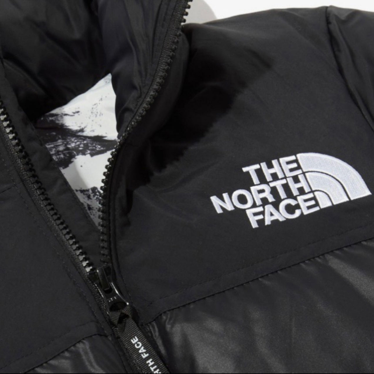 The North Face 1996 Retro Nuptse Jacket - PerfectKickZ