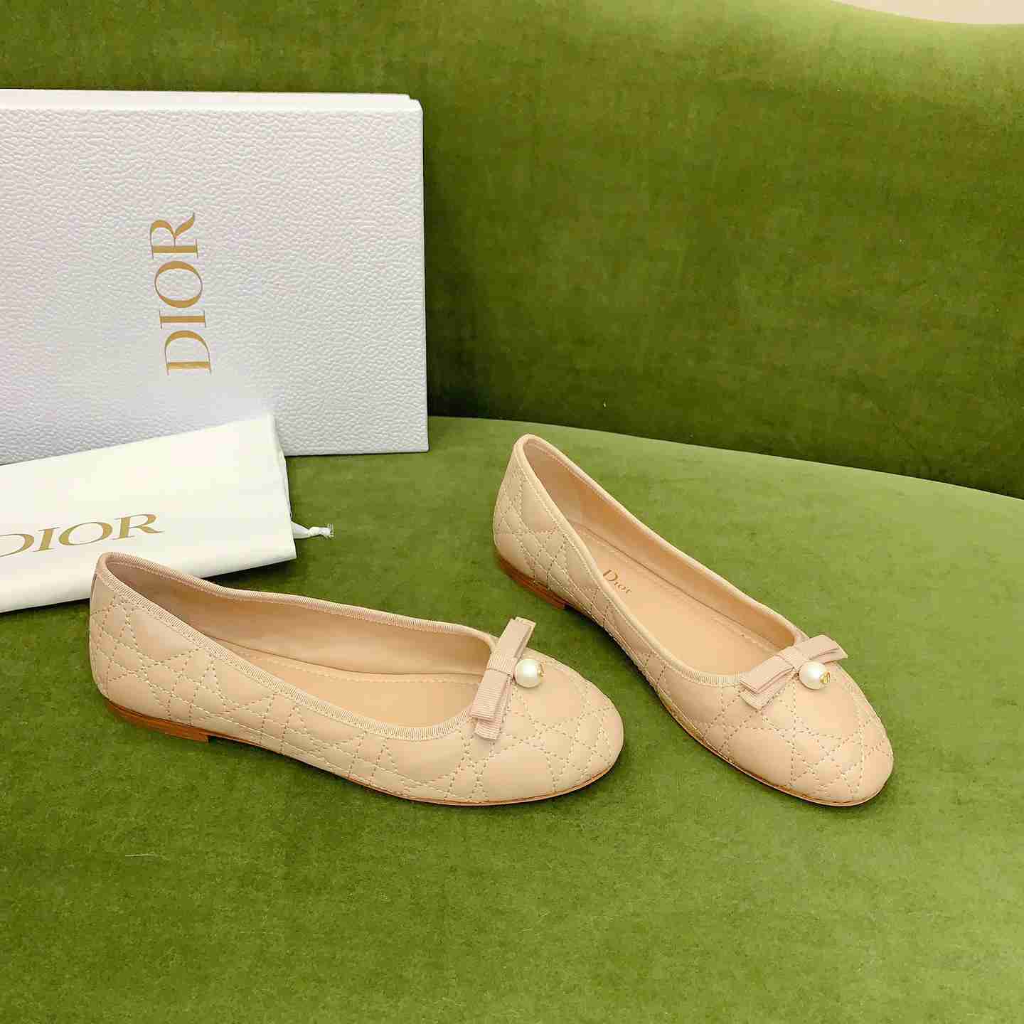 Dior Ballet Flat  - PerfectKickZ