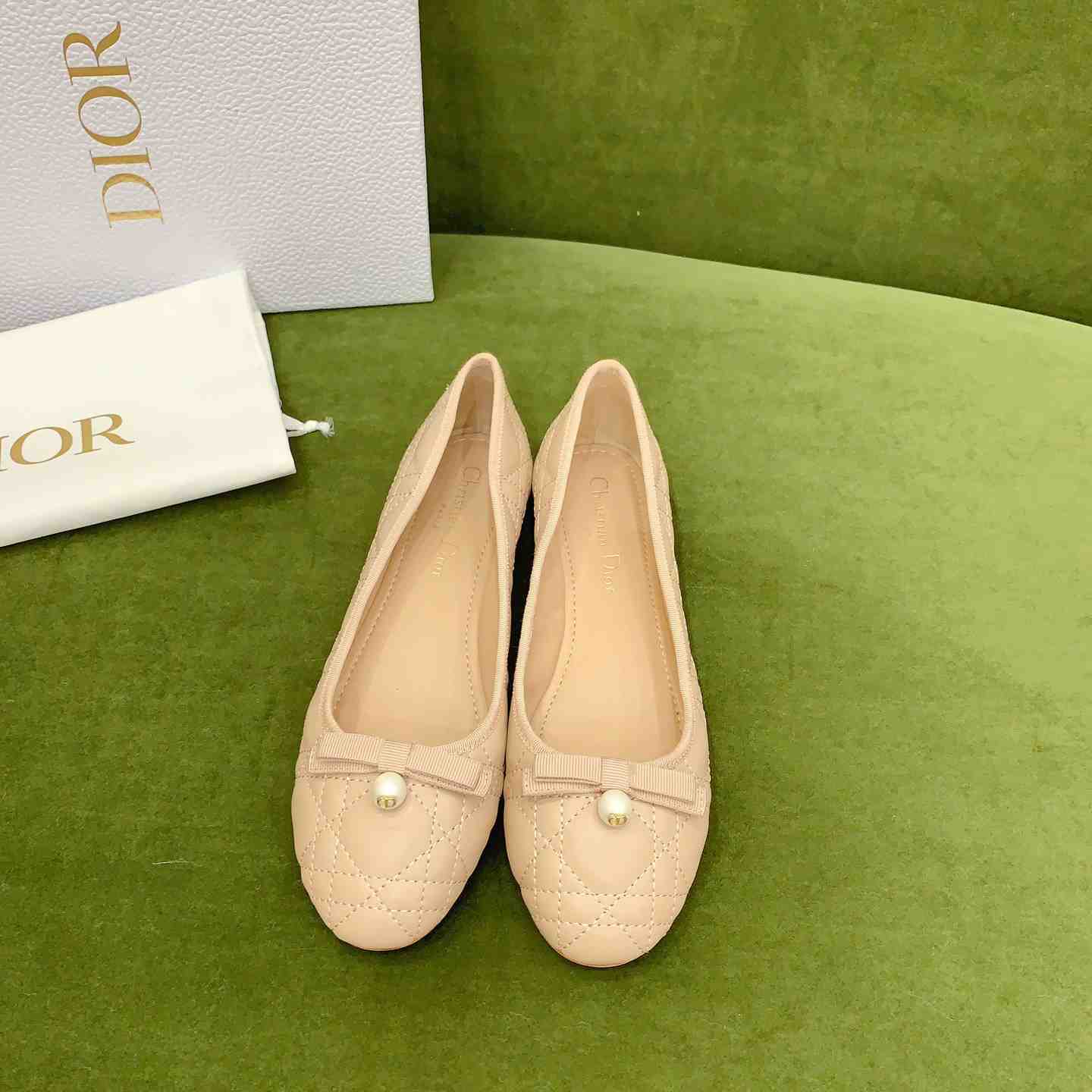 Dior Ballet Flat  - PerfectKickZ