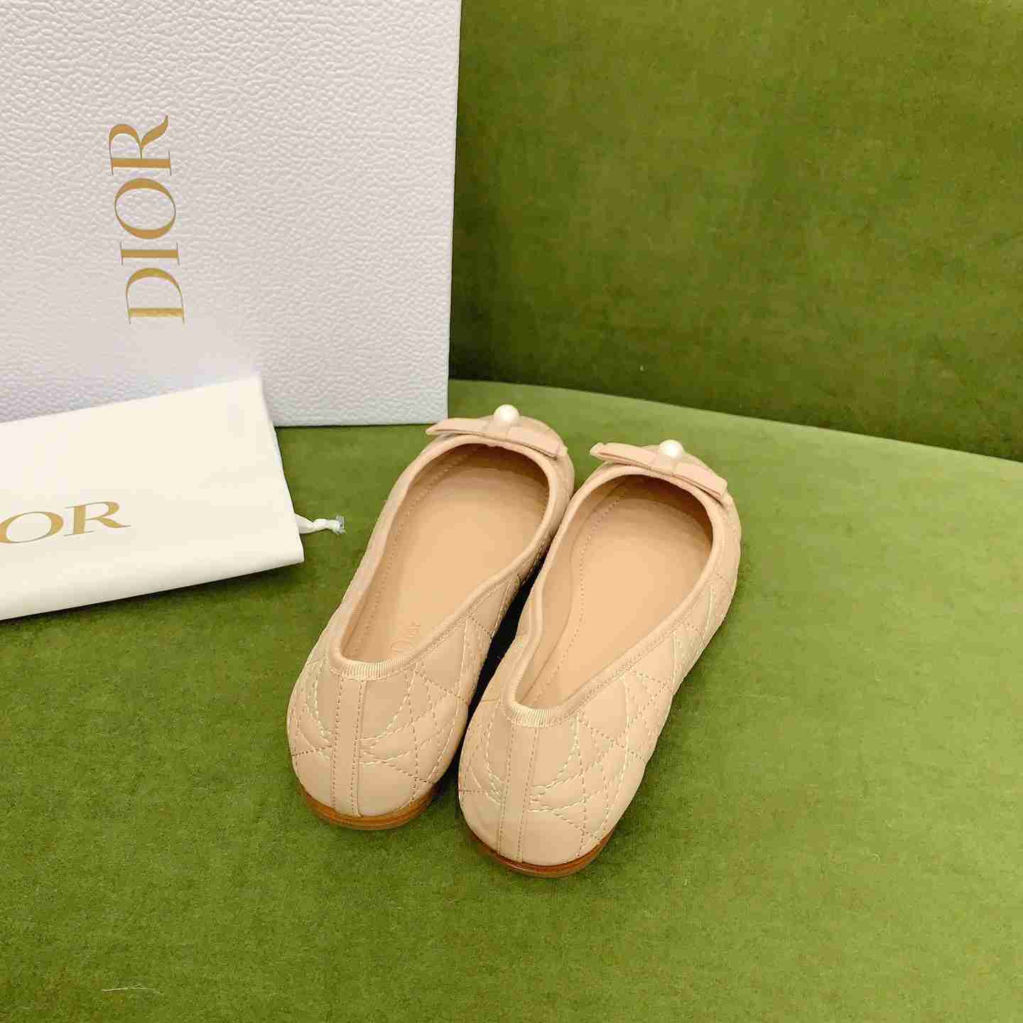 Dior Ballet Flat  - PerfectKickZ