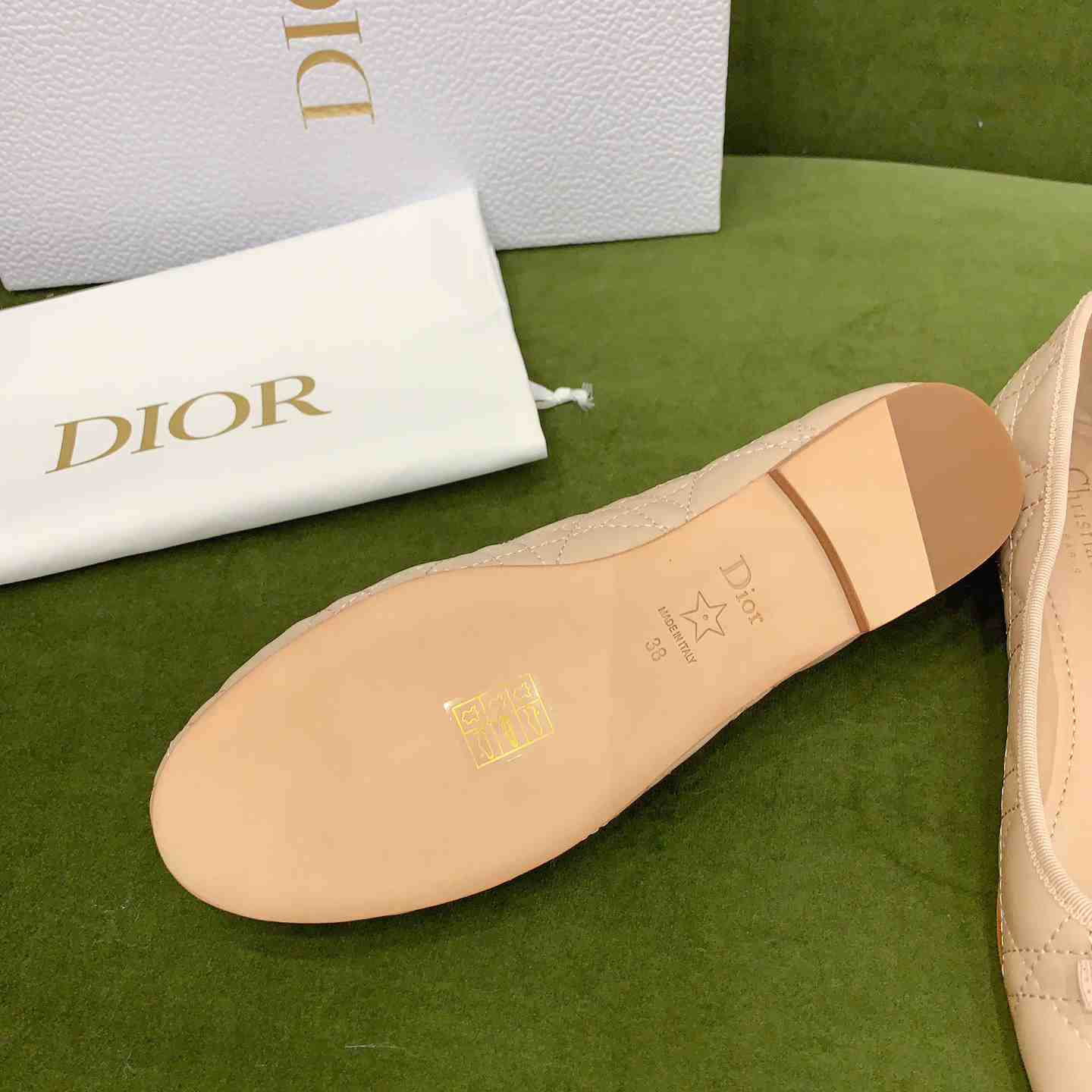 Dior Ballet Flat  - PerfectKickZ