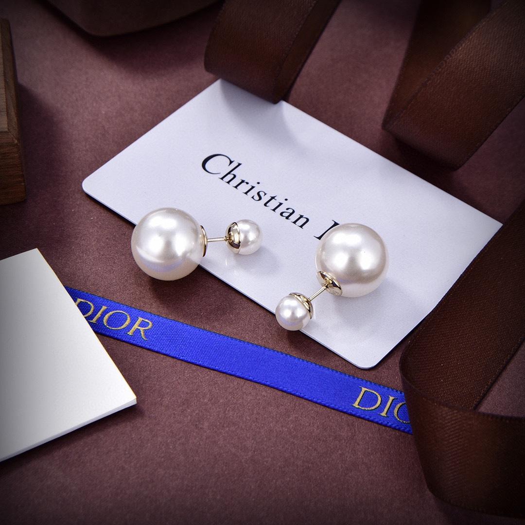 Dior Tribales Earrings - PerfectKickZ