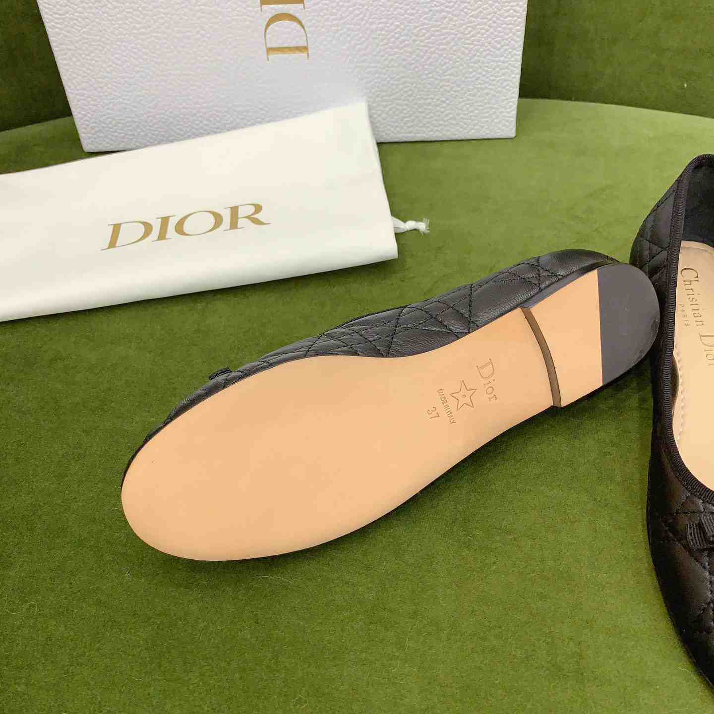 Dior Ballet Flat  - PerfectKickZ