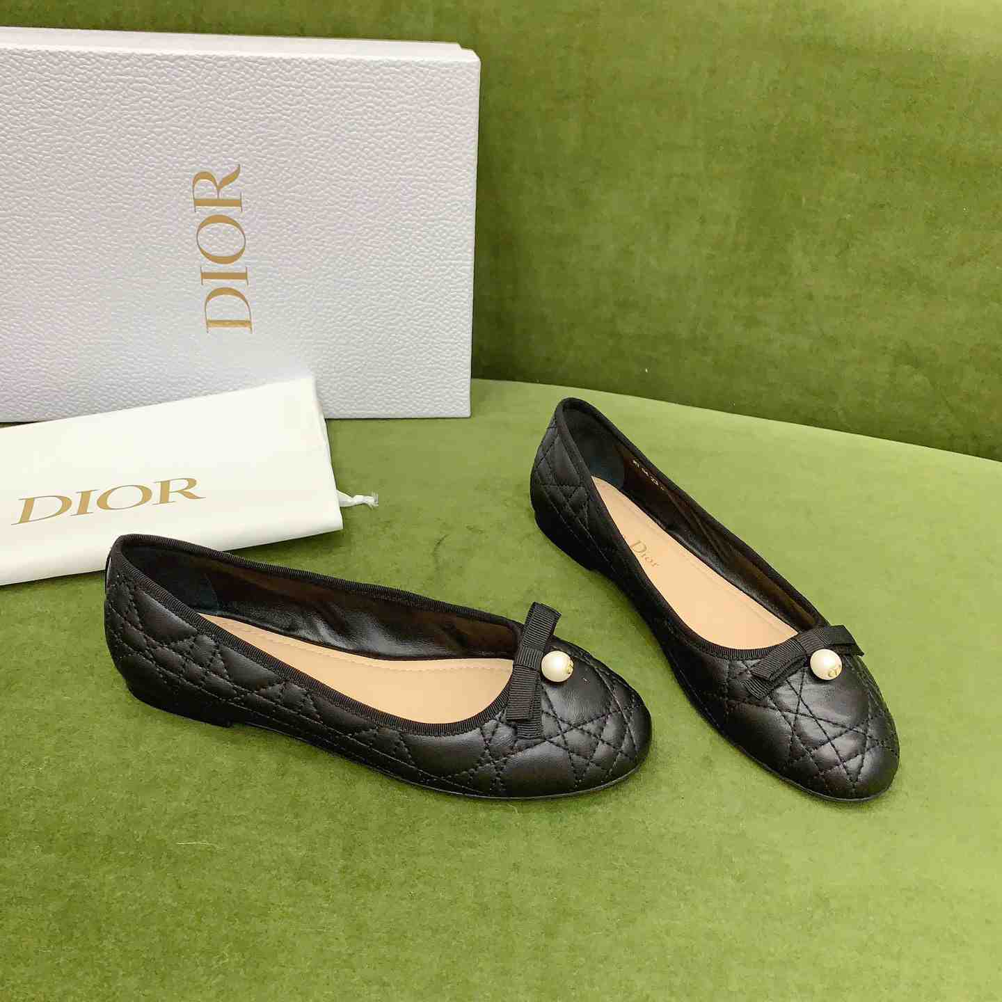Dior Ballet Flat  - PerfectKickZ