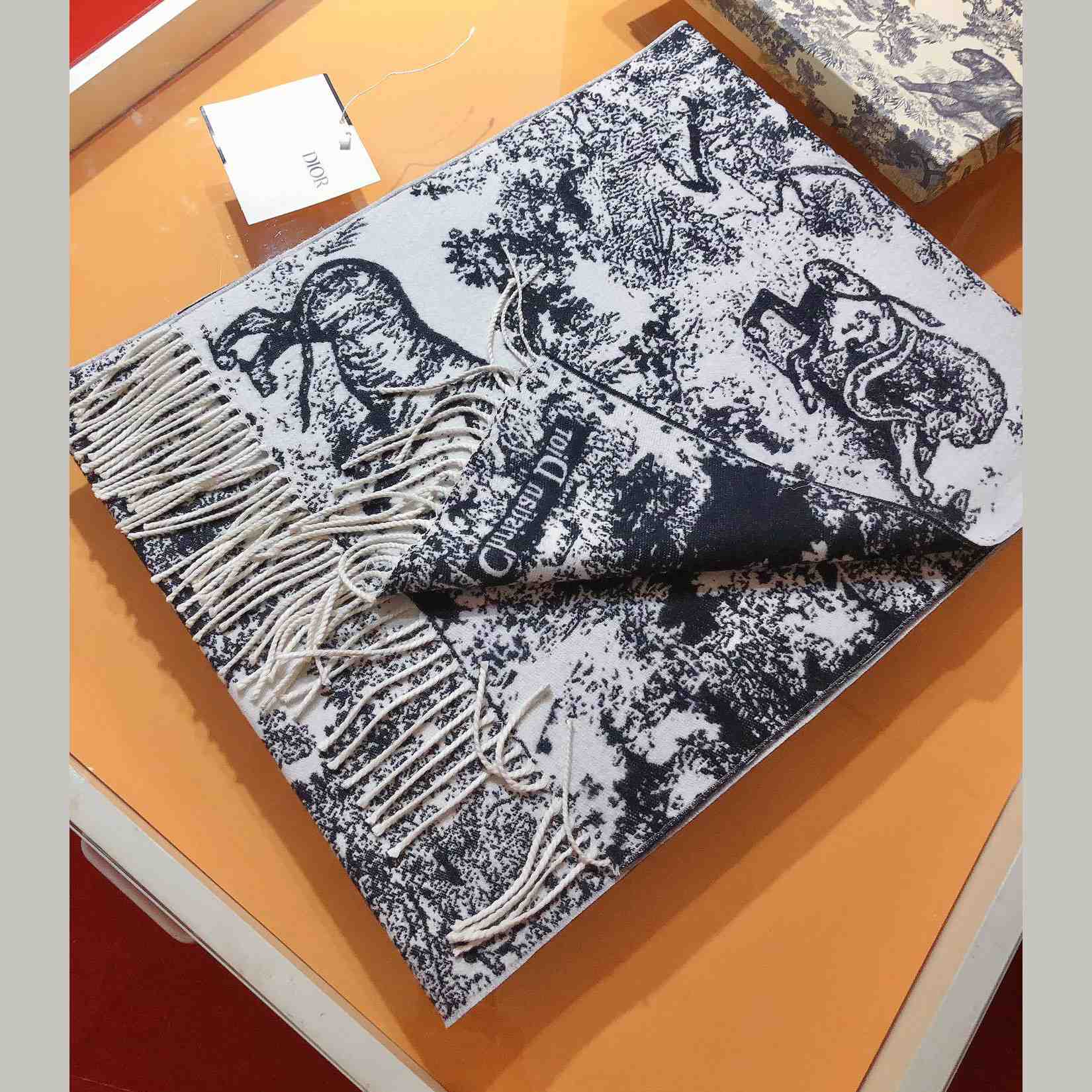 Dior Toile De Jouy Sauvage Scarf  - PerfectKickZ