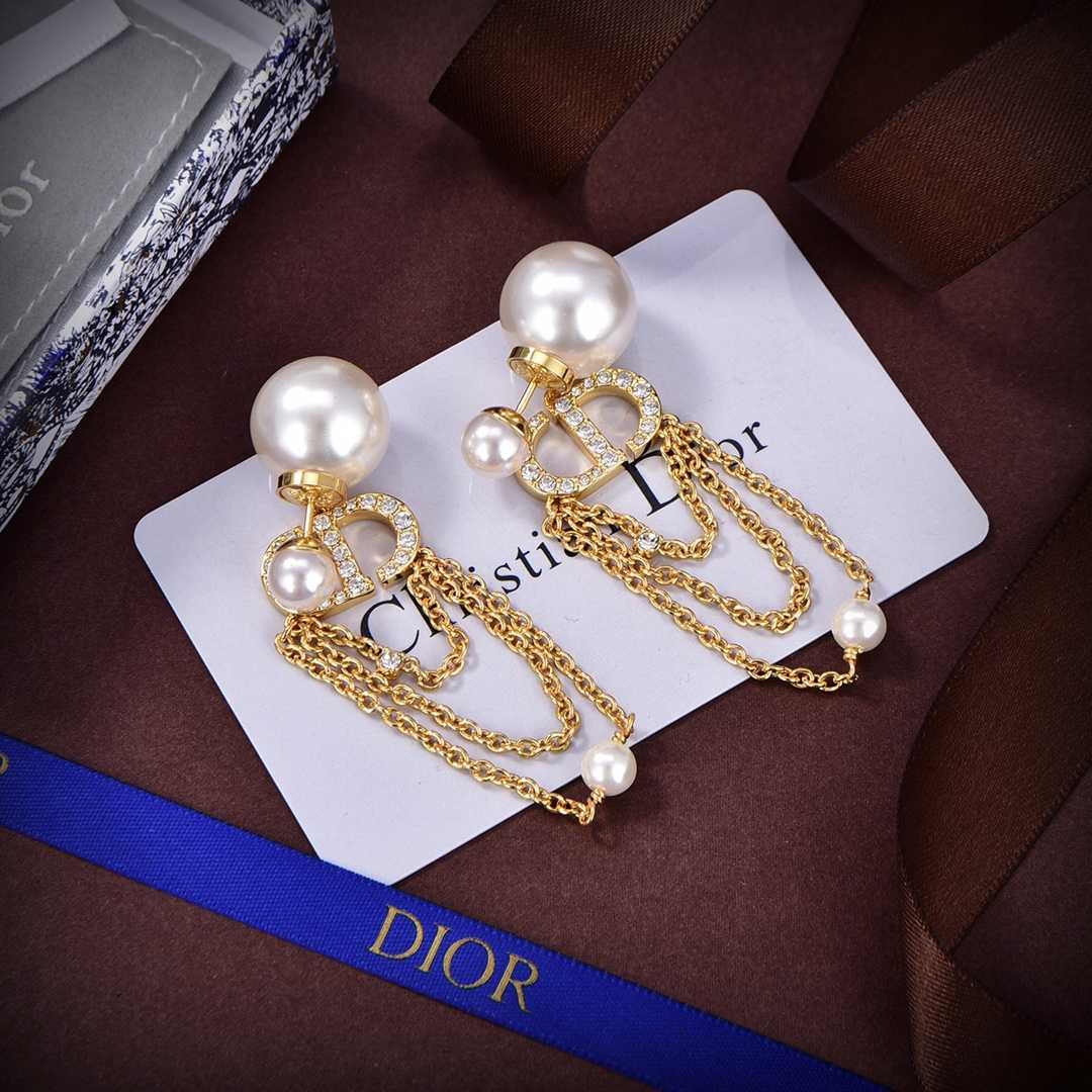Dior Tribales Earrings - PerfectKickZ