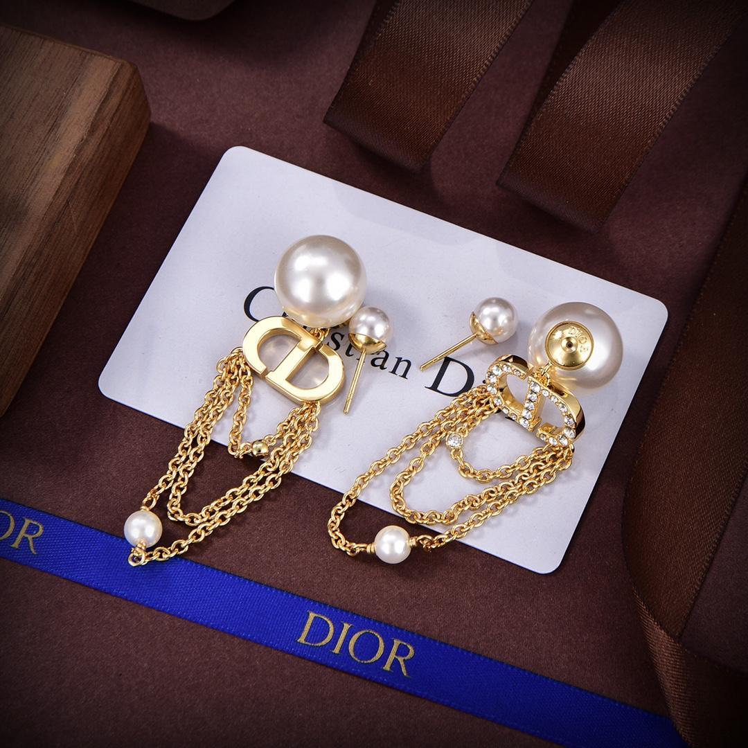 Dior Tribales Earrings - PerfectKickZ