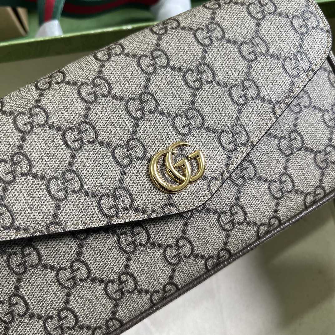 Gucci Ophidia Mini Bag  - PerfectKickZ
