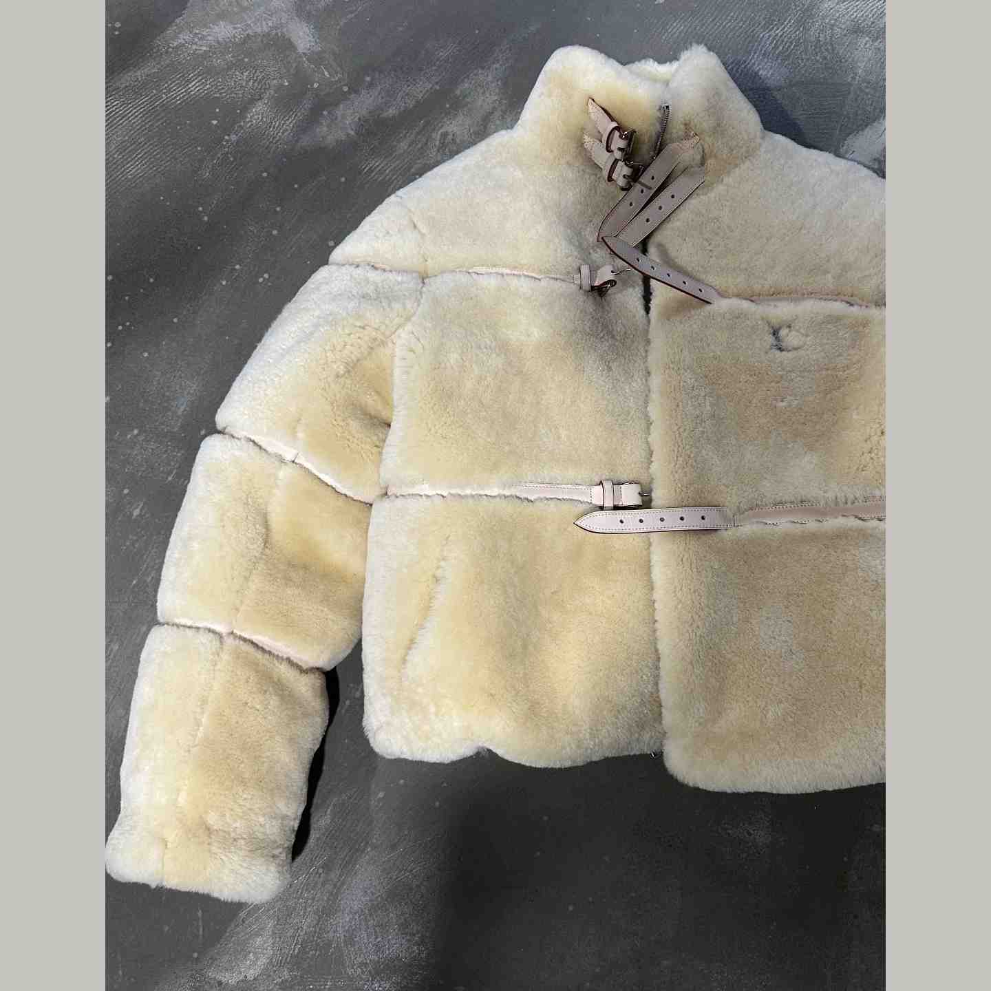 Louis Vuitton Shearling Down Blouson    - PerfectKickZ