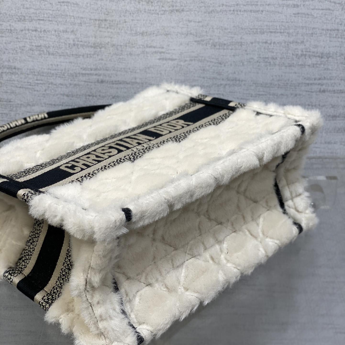 Dior Small Dior Book Tote - PerfectKickZ